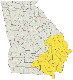 Savannah RDEO 137282370Savsm.gif